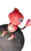 Baleetle