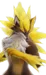 Blazen