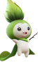 Budsquire