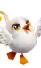 Chirpi