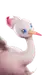 Fahloo