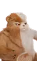 Grizbo