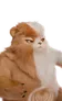 Grizbo