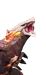 Magmarex