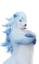 Piopiota