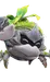 Shrubclaw