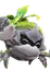 Shrubclaw