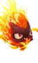 Sparki