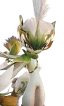 Thornblade, Towerwood Form