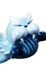 Wavwal